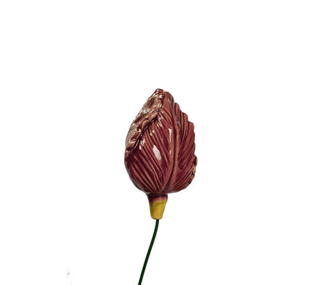 Tulp-keramiek-paars