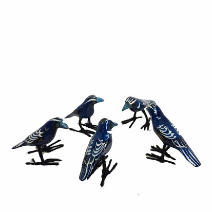 troostvogel-blauw-s