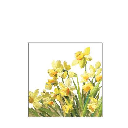 servetten-claasic-daffodils-33