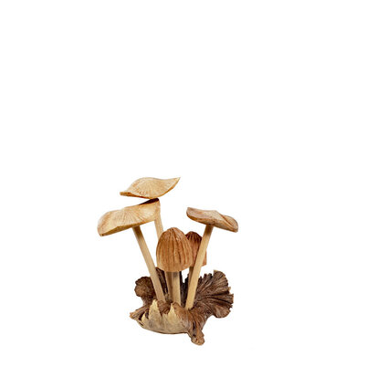 paddenstoelen-gemengde-hoofden