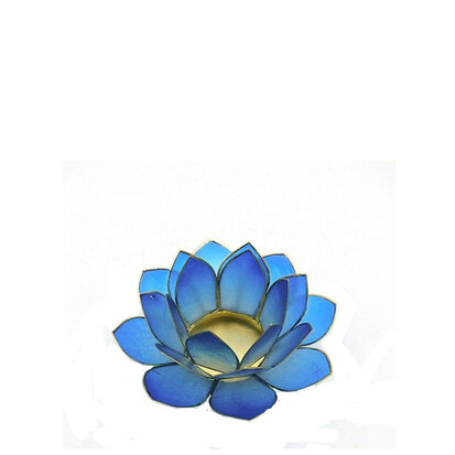 lotus-s-donkerblauw
