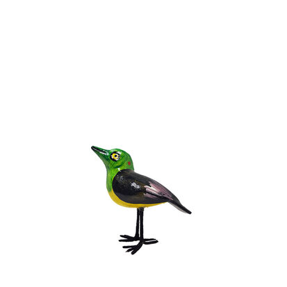 troostvogel-l-zwart-geel