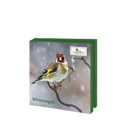 kaartenmapje-wintervogels