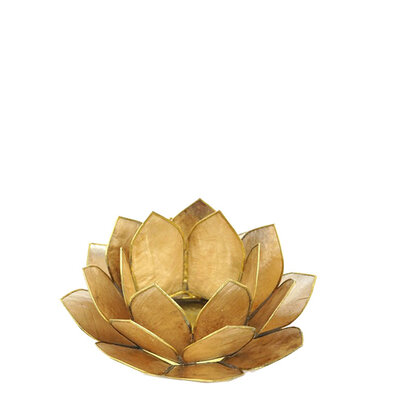 lotus-s-gold