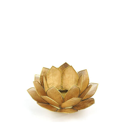 lotus-s-goud