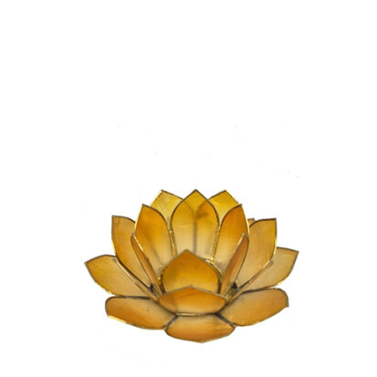 lotus-s-lichtoranje