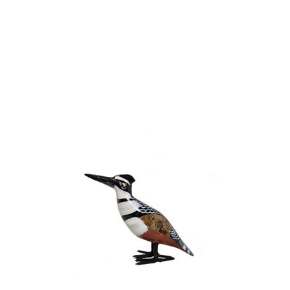 zwarthoofd-ijsvogel