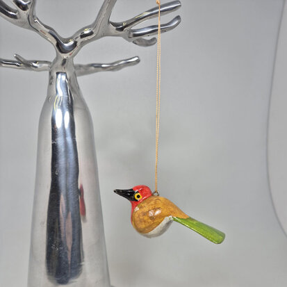 troostvogel-hangend-groene-staart