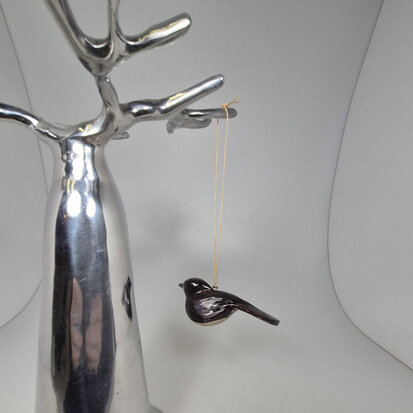 troostvogel-hangend-zwart