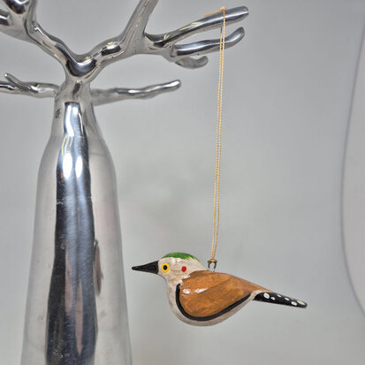 troostvogel-hangend-groen-hoofd