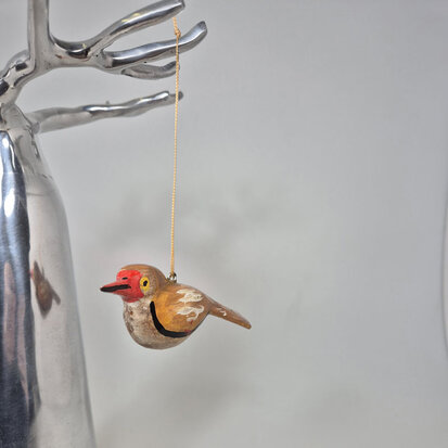 troostvogel-hangend-rode-snavel