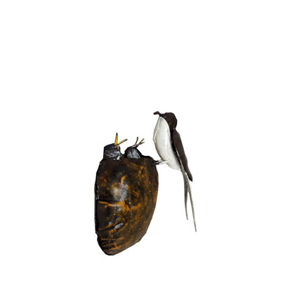 vogelnest zwaluw met jongen