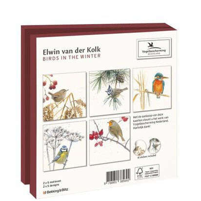 birds in the winter achterkant