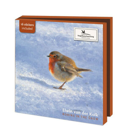 robins in the snow voorkant