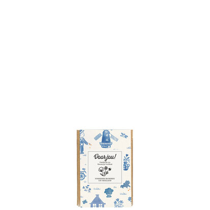 Blossombs mini flowers from holland