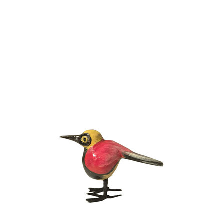 Troostvogel geel en rood