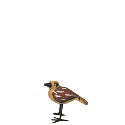 Troostvogel bruine vleugels