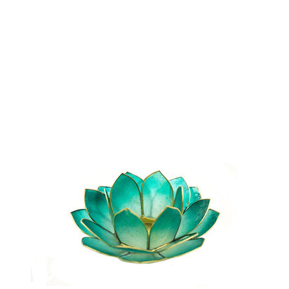 Lotus S petrol