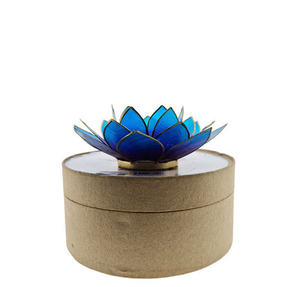 Lotus in doos