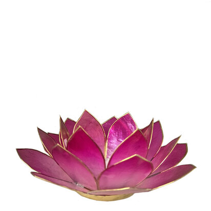 Lotus L roze 35400