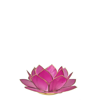 Lotus S oud roze