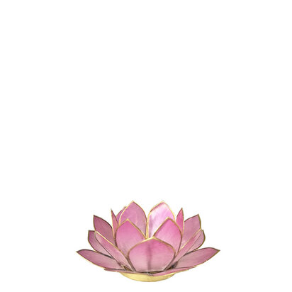 Lotus S lichtroze