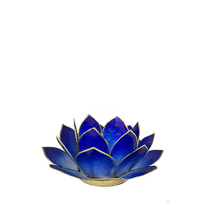 Lotus S donkerblauw