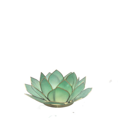 Lotus S petrol