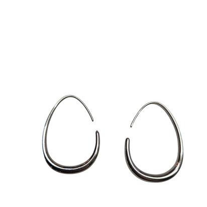 Oorbellen eirond rvs