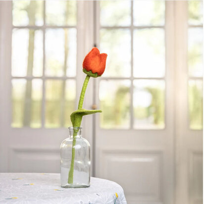 Tulp oranje