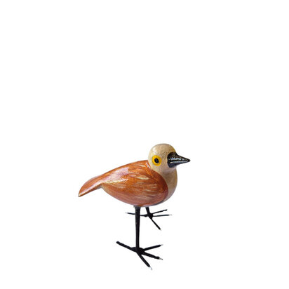 Troostvogel bruine vleugels
