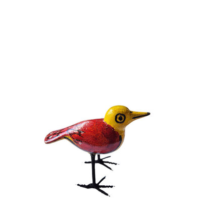 Troostvogel rood lijf