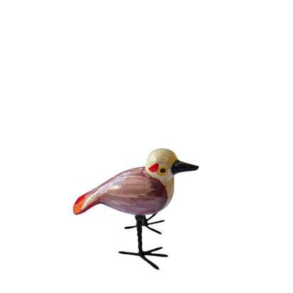 Troostvogel lila vleugels