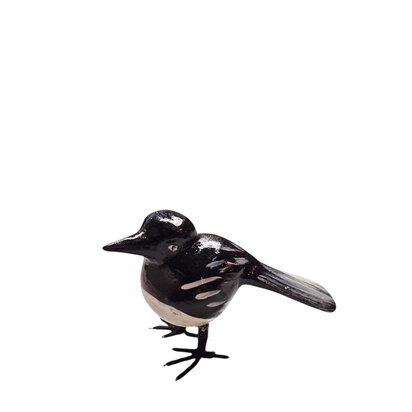 Troostvogel zwart