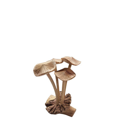 Paddenstoelen op rootwood