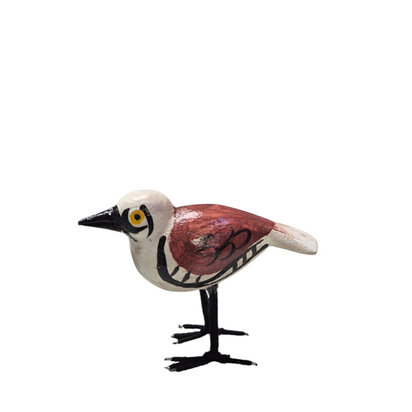 Troostvogel bruin wit