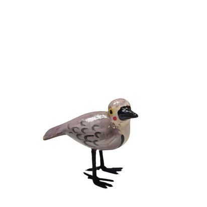 Troostvogel grijze vleugels