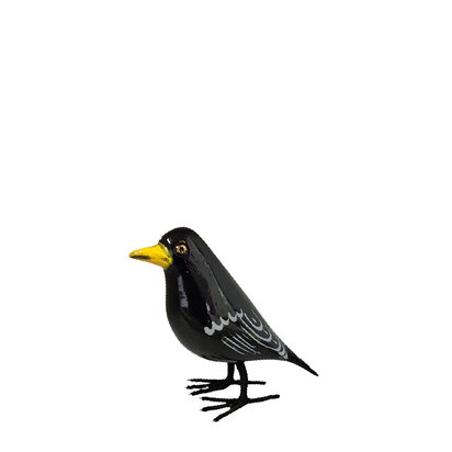 kraai