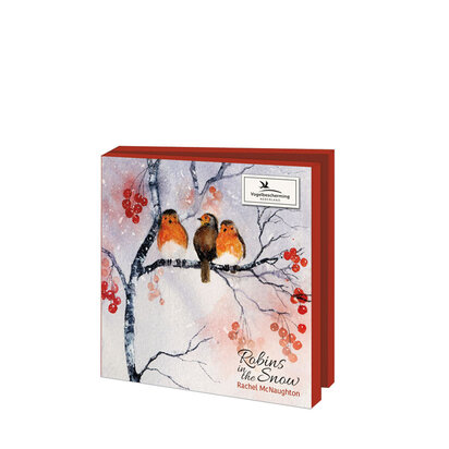 Robins in the snow