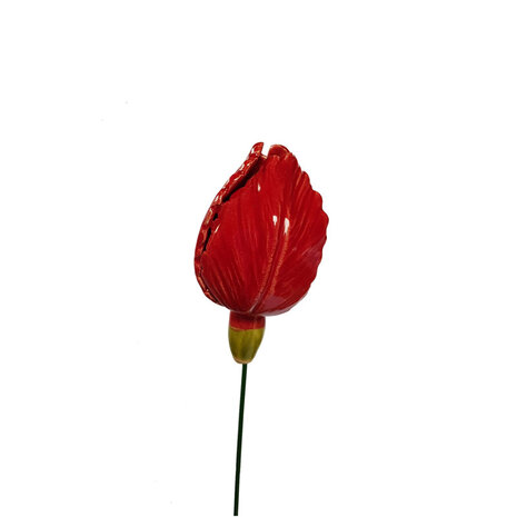 Tulp-van-keramiek-rood