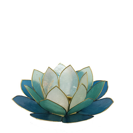 lotus-multi-L-blauw-detail