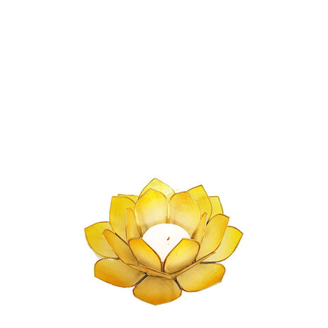 lotus-geel-s-bovenaanzicht
