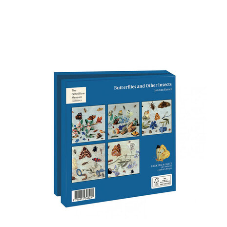 kaartenmapje-butterflies-and-other-insects-achterkant