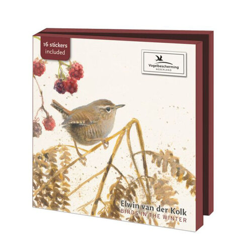 birds in the winter voorkant