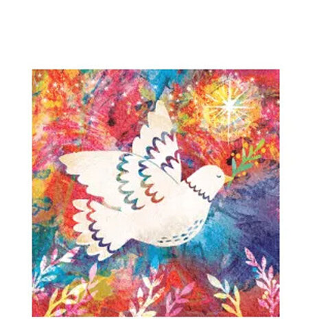 rainbow doves amnesty