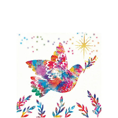 rainbow doves amnesty 2