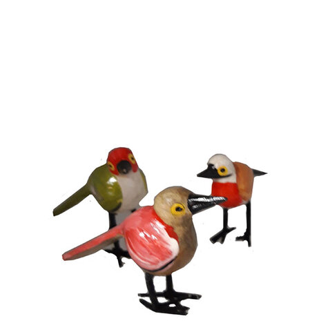 Troostvogel gestippelde staart