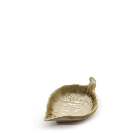 Schaaltje creme bruin