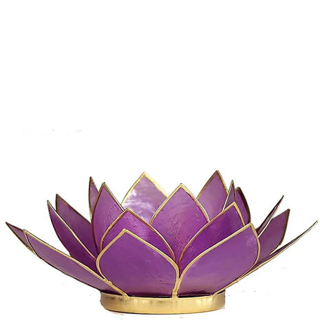 Lotus M lila