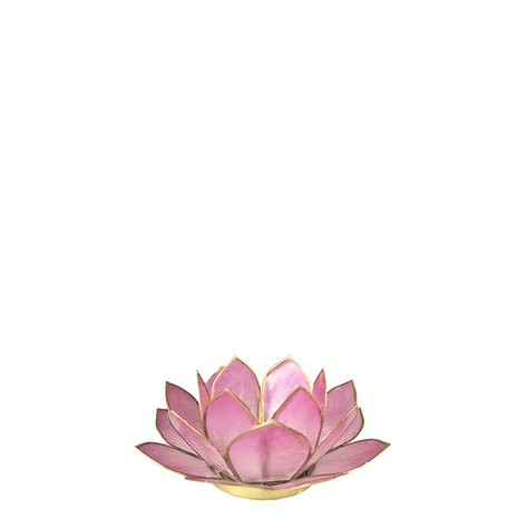 Lotus S lichtroze